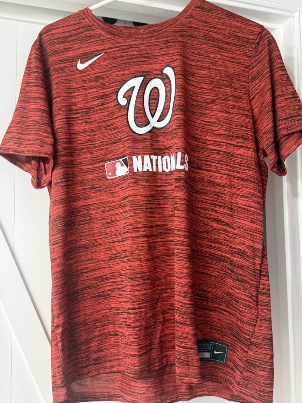 WASHINGTON NATIONALS NIKE MENS DRY FIT - LARGE